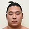Hokutoryu