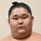 Kyokutaiga
