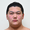 Tsurugifuji